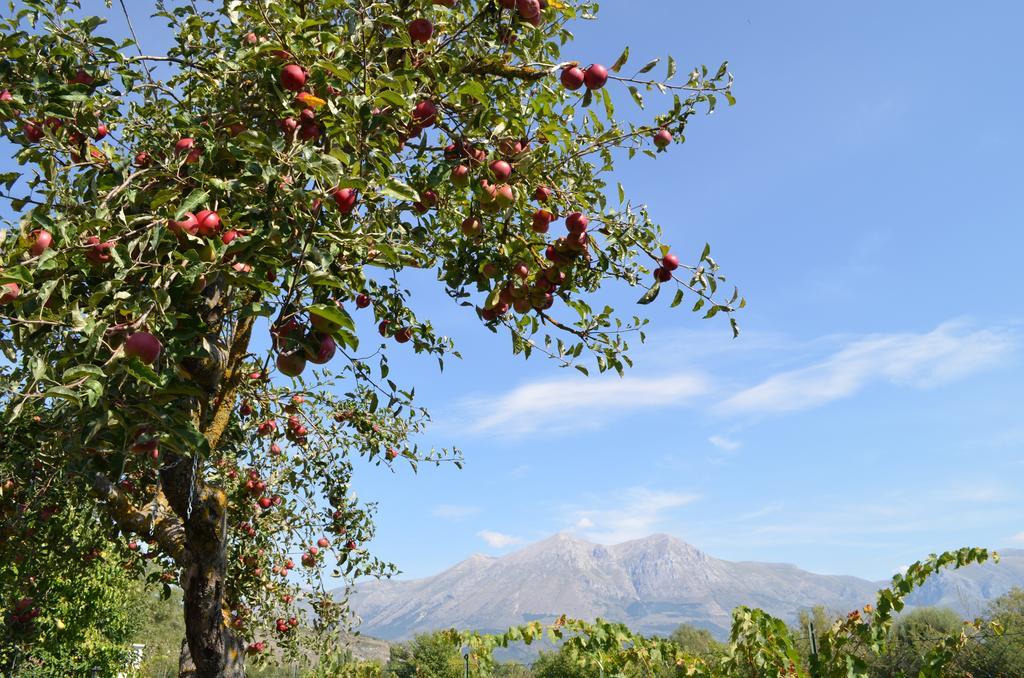 Agriturismo Villa Palentina 스쿠르콜라 마르시카나 외부 사진