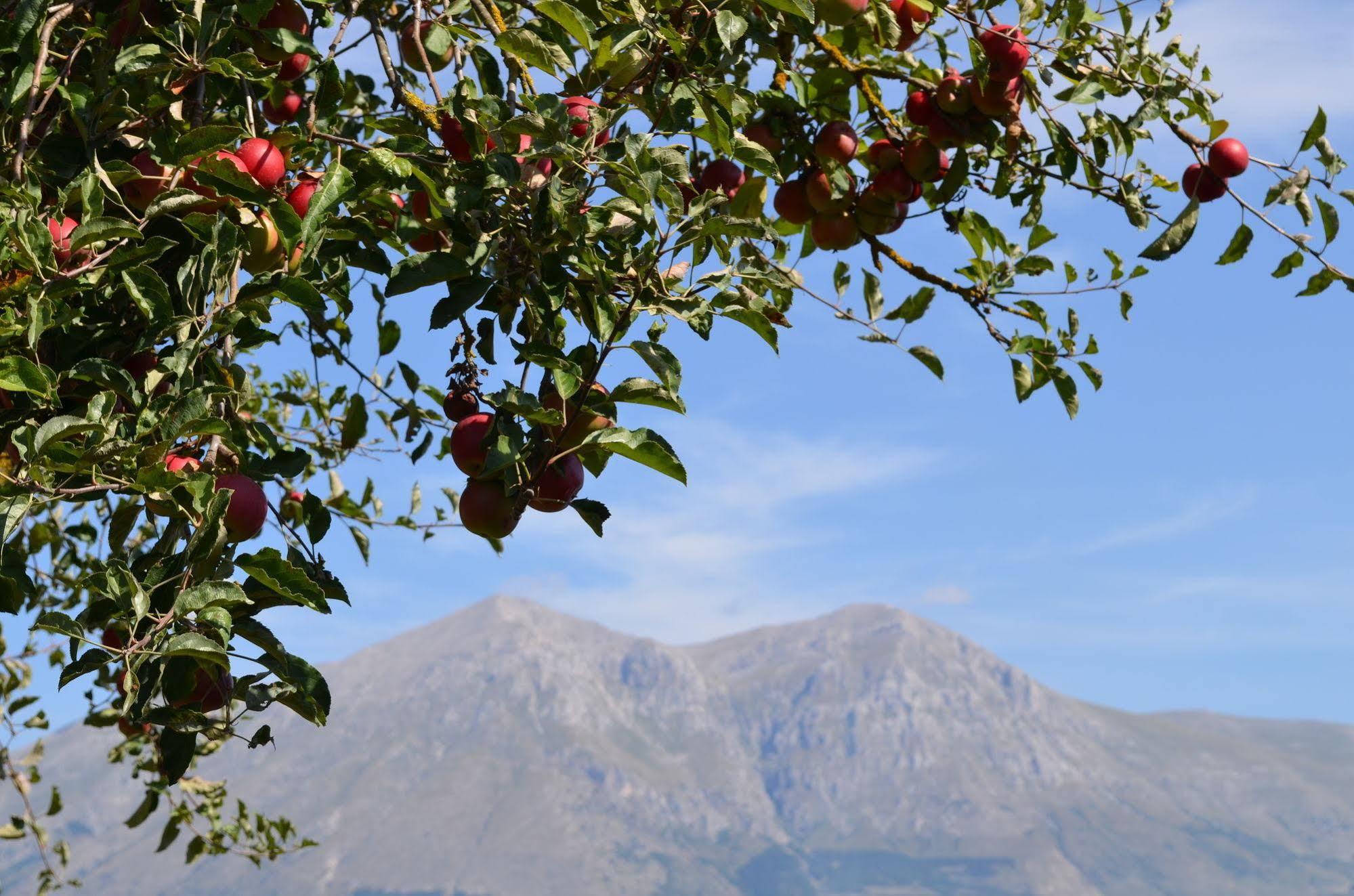Agriturismo Villa Palentina 스쿠르콜라 마르시카나 외부 사진